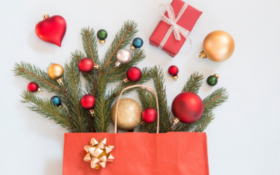 Ten Gift Ideas for a Published Author (or Yourself!) This Holiday Season